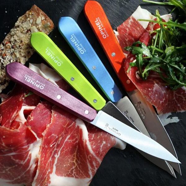 Opinel OP-001381 Les Essentials 4 Renk Soyma Bıçağı