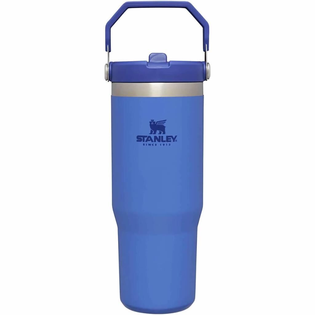 Stanley 10-09993-198 The IceFlow Flip Straw 0,89 Litre Pipetli Termos Bardak - Mavi