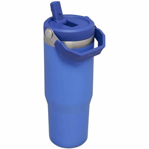 Stanley 10-09993-198 The IceFlow Flip Straw 0,89 Litre Pipetli Termos Bardak - Mavi
