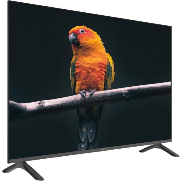 Sunny SN50FMN501 Frameless 50'' 127 Ekran 4K Tizen Smart Wifi Led TV